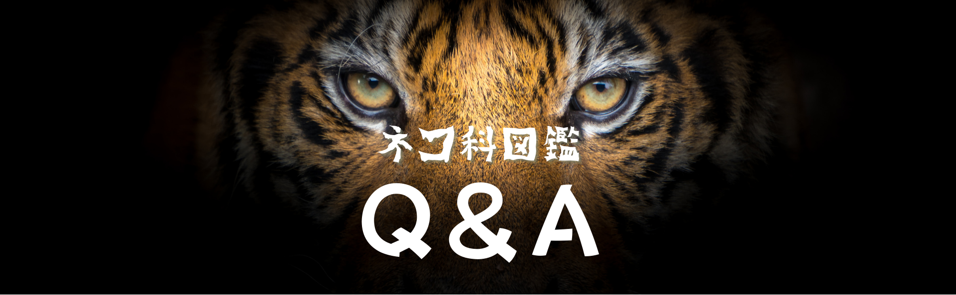 野生に生きるネコ科図鑑Q&A