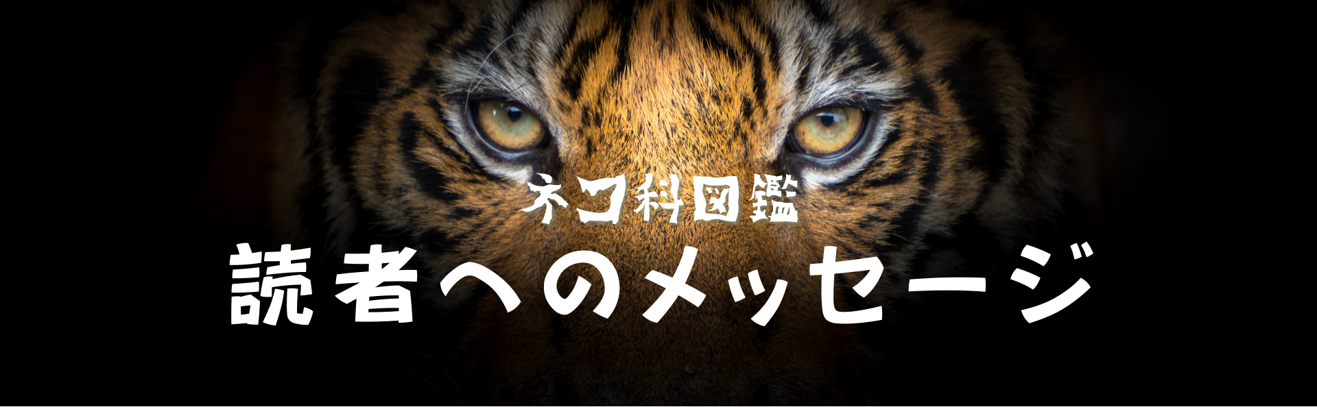 トラ図鑑｜伝説の「ジャングルの王者」の生態と現状、保全活動まで