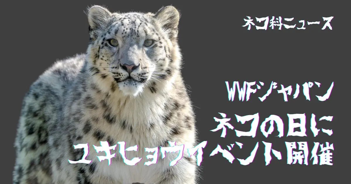ネコの日に広がった、ユキヒョウ保全の輪 | ネコ科図鑑